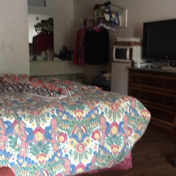 Meet your Posher, Lennon - Picture 1 of 1